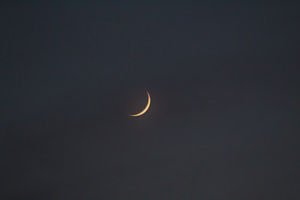 Meet your Posher, Yaki